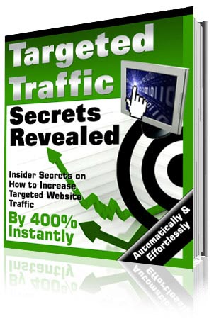 targeted web site traffic